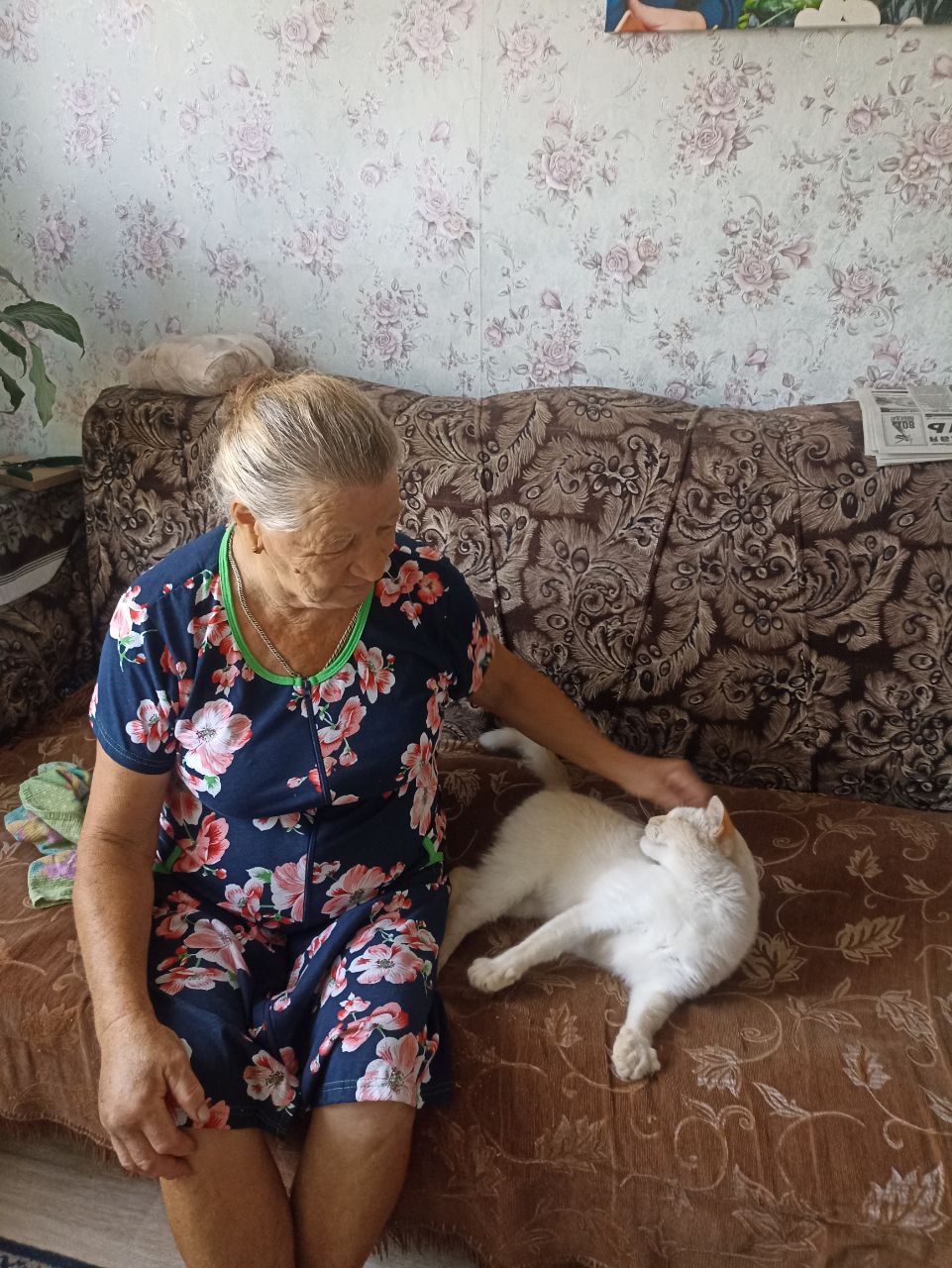 Международный день кошек