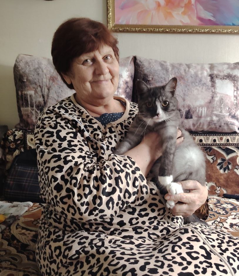  «День кошачьей славы» 