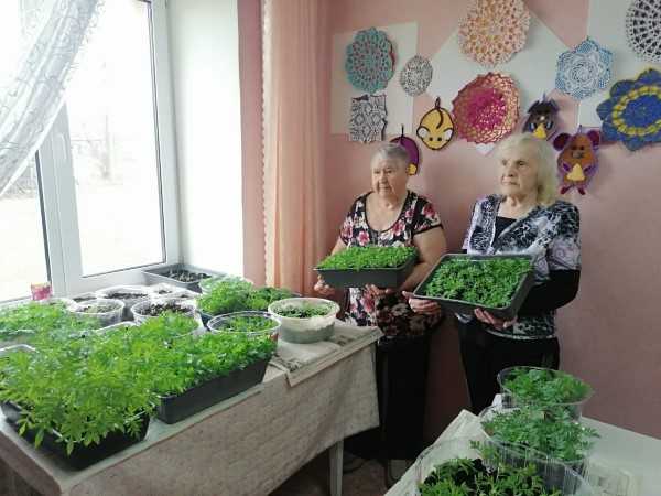 Работа клуба 
