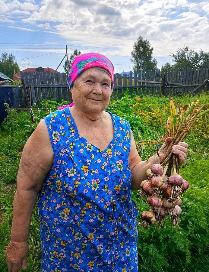 А у нас чеснок на славу, хоть на выставку неси!