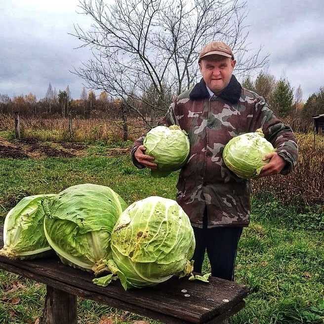 Без капусты в доме пусто, без капусты жить не вкусно!